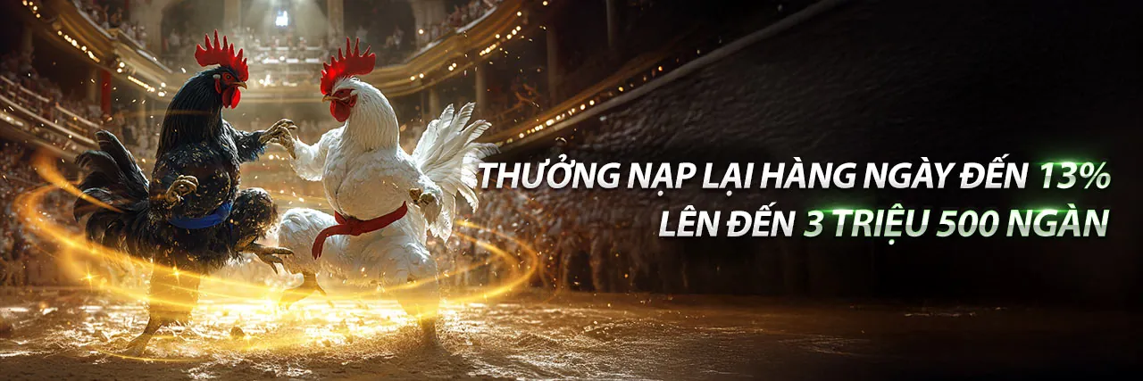 Công cụ tiếp thị đa dạng MG188