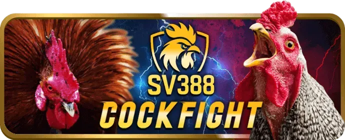 Chơi cùng bạn bè